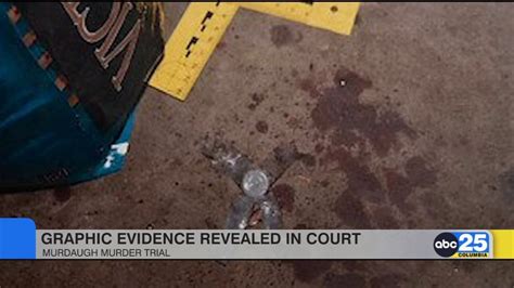 murdaugh autopsy details|Graphic: Court documents reveal new details in。